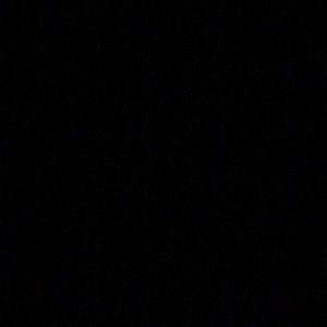 Meet your Posher, Cheyanne